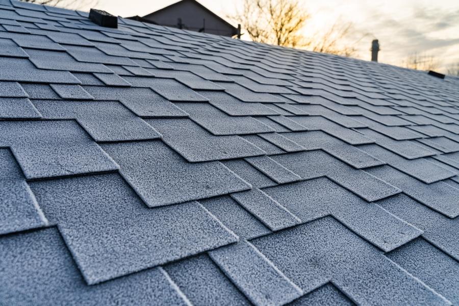 As you explore ways to enhance your home's aesthetic appeal through strategic design choices, it's equally beneficial to turn your attention to improving energy efficiency with modern roofing technologies.