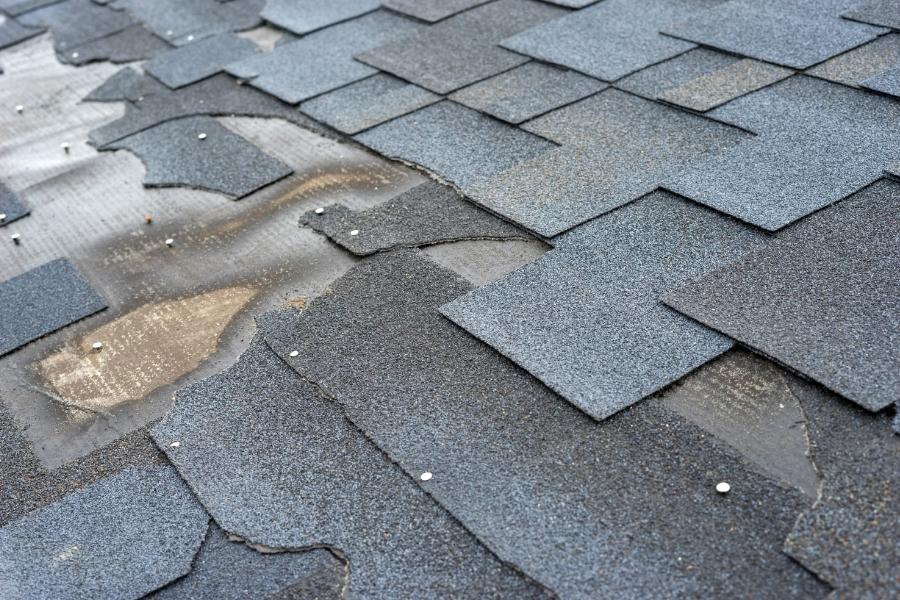 Many homeowners wonder when a simple repair will do and when a full replacement is necessary.