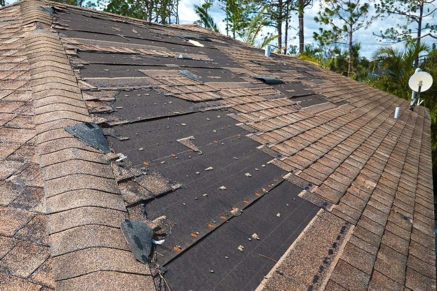 Apex Roofing of the Lowcountry isn’t just another roofing company—they’re part of the Bluffton community.